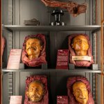 Collezione di ceroplastiche Tenchini (particolare)